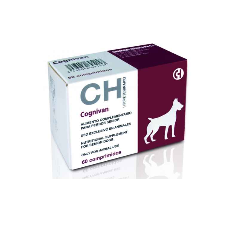 COGNIVAN NEUROPROTEC- crește tonusul în caz de oboseală și epuizare