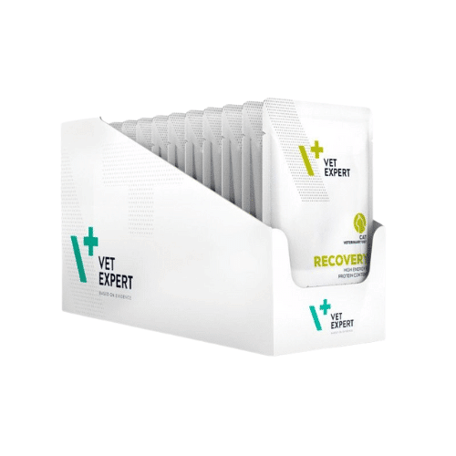 Vet Expert Recovery Cat- plic pentru pisici, 12 buc. x 100 g